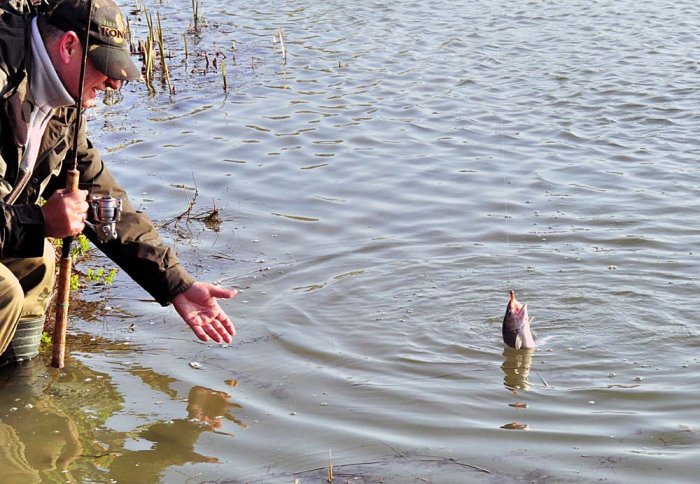 Shrap-Drakers.pl | Shrap Drakers Fishing | Wędkarstwo 