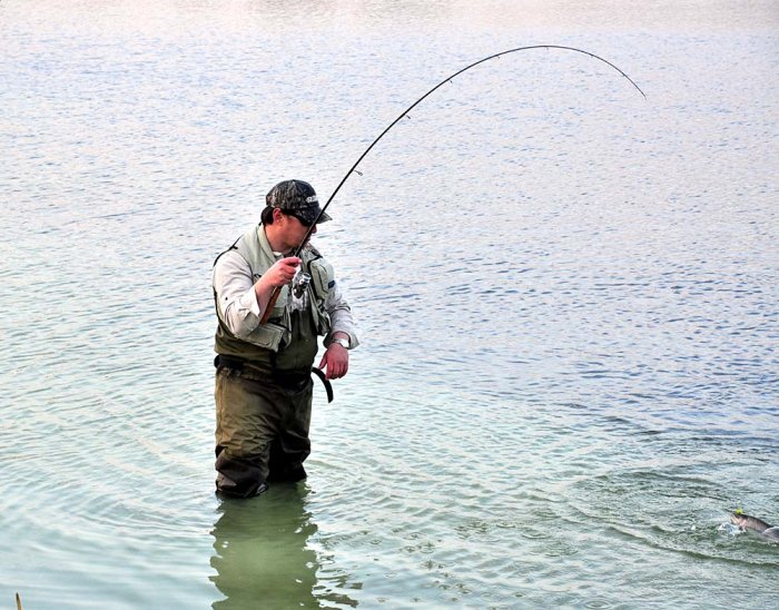 Shrap-Drakers.pl | Shrap Drakers Fishing | Wędkarstwo 