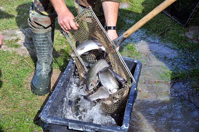 Shrap-Drakers.pl | Shrap Drakers Fishing | Wędkarstwo 
