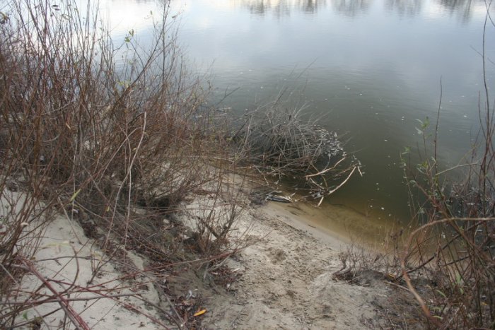 Shrap-Drakers.pl | Shrap Drakers Fishing | Wędkarstwo 