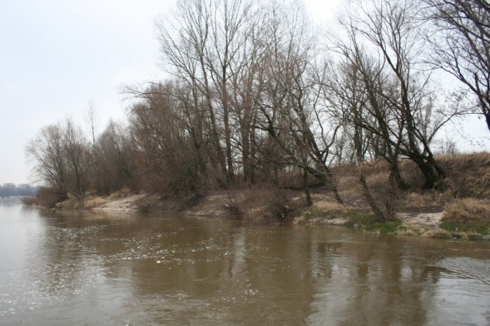 Shrap-Drakers.pl | Shrap Drakers Fishing | Wędkarstwo 