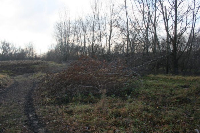 Shrap-Drakers.pl | Shrap Drakers Fishing | Wędkarstwo 