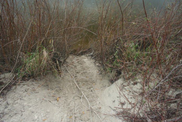 Shrap-Drakers.pl | Shrap Drakers Fishing | Wędkarstwo 