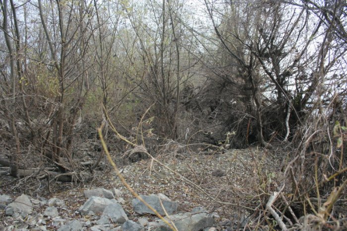 Shrap-Drakers.pl | Shrap Drakers Fishing | Wędkarstwo 