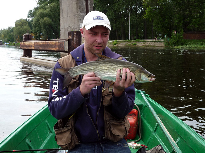 Shrap-Drakers.pl | Shrap Drakers Fishing | Wędkarstwo 