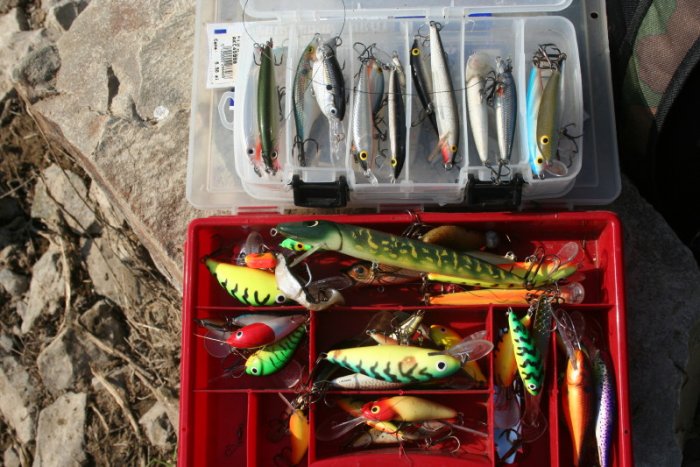 Shrap-Drakers.pl | Shrap Drakers Fishing | Wędkarstwo 