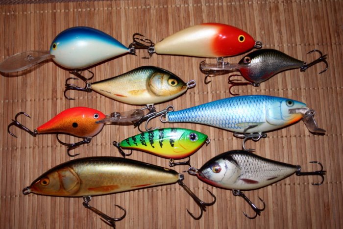 Shrap-Drakers.pl | Shrap Drakers Fishing | Wędkarstwo 