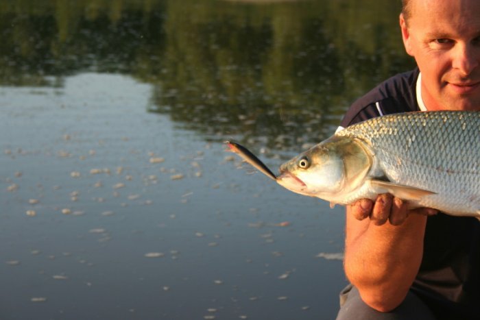 Shrap-Drakers.pl | Shrap Drakers Fishing | Wędkarstwo 