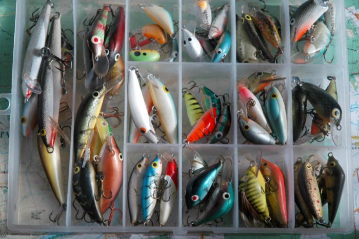 Shrap-Drakers.pl | Shrap Drakers Fishing | Wędkarstwo 