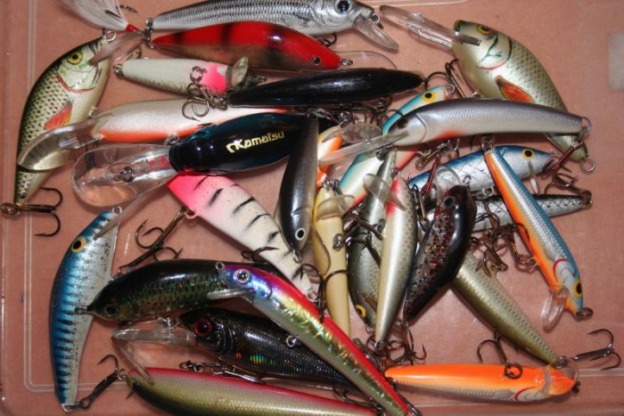 Shrap-Drakers.pl | Shrap Drakers Fishing | Wędkarstwo 