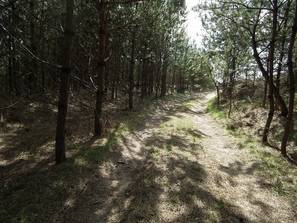 Shrap-Drakers.pl | Shrap Drakers Fishing | Wędkarstwo 