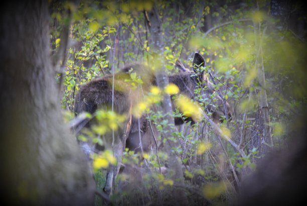 Shrap-Drakers.pl | Shrap Drakers Fishing | Wędkarstwo 