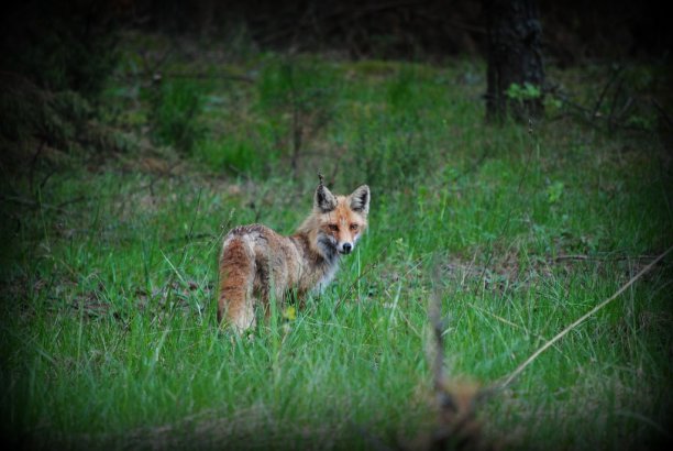 Shrap-Drakers.pl | Shrap Drakers Fishing | Wędkarstwo 