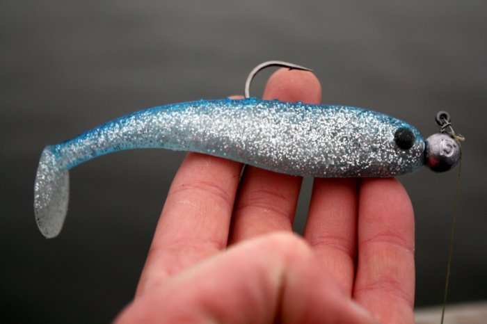 Shrap-Drakers.pl | Shrap Drakers Fishing | Wędkarstwo 