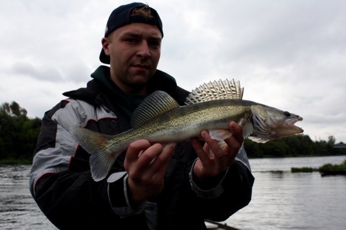 Shrap-Drakers.pl | Shrap Drakers Fishing | Wędkarstwo 