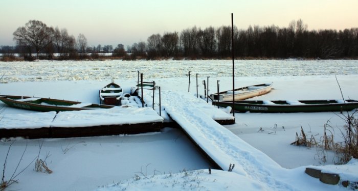 Shrap-Drakers.pl | Shrap Drakers Fishing | Wędkarstwo 