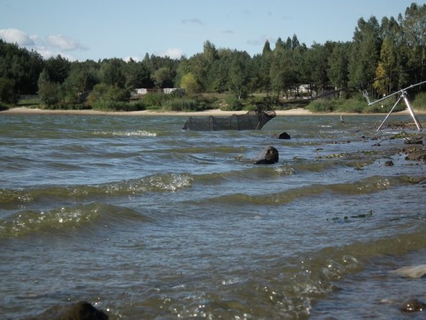 Shrap-Drakers.pl | Shrap Drakers Fishing | Wędkarstwo 