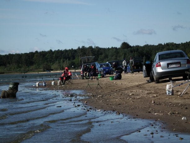 Shrap-Drakers.pl | Shrap Drakers Fishing | Wędkarstwo 