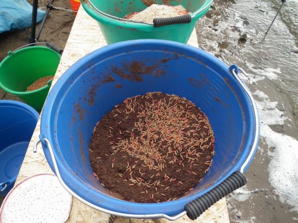 Shrap-Drakers.pl | Shrap Drakers Fishing | Wędkarstwo 