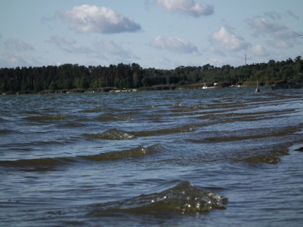 Shrap-Drakers.pl | Shrap Drakers Fishing | Wędkarstwo 