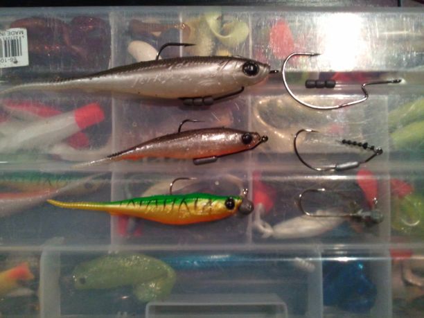 Shrap-Drakers.pl | Shrap Drakers Fishing | Wędkarstwo 