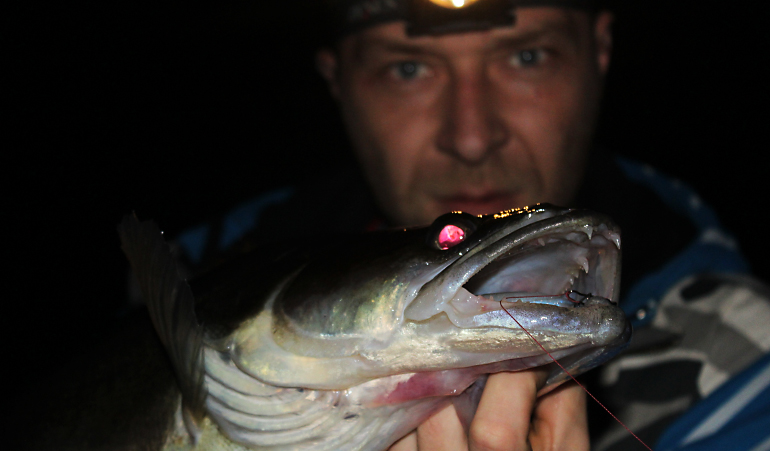 Shrap-Drakers.pl | Shrap Drakers Fishing | Wędkarstwo 