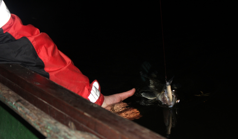 Shrap-Drakers.pl | Shrap Drakers Fishing | Wędkarstwo 