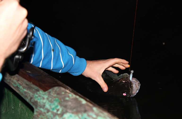 Shrap-Drakers.pl | Shrap Drakers Fishing | Wędkarstwo 