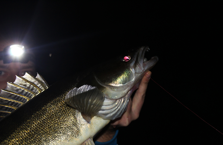 Shrap-Drakers.pl | Shrap Drakers Fishing | Wędkarstwo 