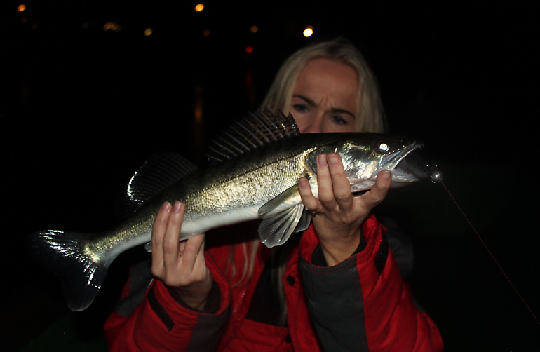 Shrap-Drakers.pl | Shrap Drakers Fishing | Wędkarstwo 