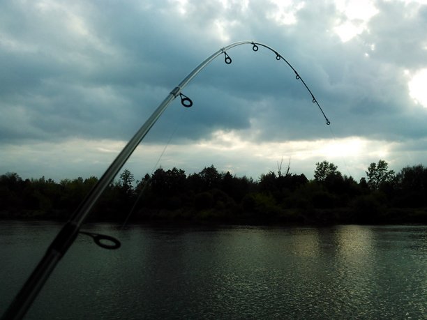 Shrap-Drakers.pl | Shrap Drakers Fishing | Wędkarstwo 