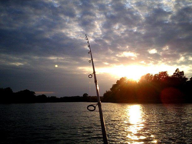 Shrap-Drakers.pl | Shrap Drakers Fishing | Wędkarstwo 