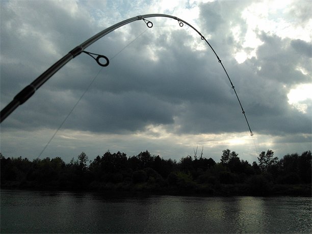 Shrap-Drakers.pl | Shrap Drakers Fishing | Wędkarstwo 
