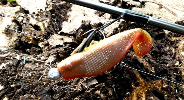 Shrap-Drakers.pl | Shrap Drakers Fishing | Wędkarstwo 