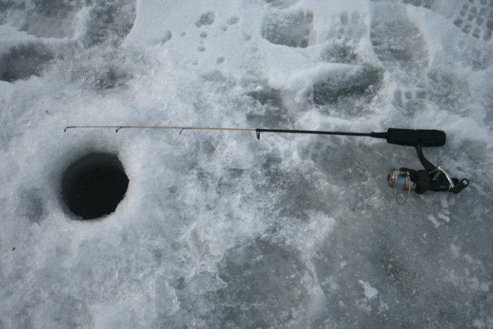 Shrap-Drakers.pl | Shrap Drakers Fishing | Wędkarstwo 