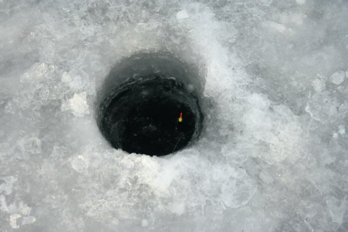 Shrap-Drakers.pl | Shrap Drakers Fishing | Wędkarstwo 