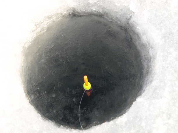 Shrap-Drakers.pl | Shrap Drakers Fishing | Wędkarstwo 