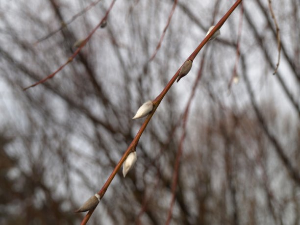 Shrap-Drakers.pl | Shrap Drakers Fishing | Wędkarstwo 