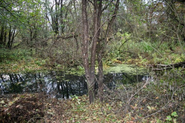 Shrap-Drakers.pl | Shrap Drakers Fishing | Wędkarstwo 