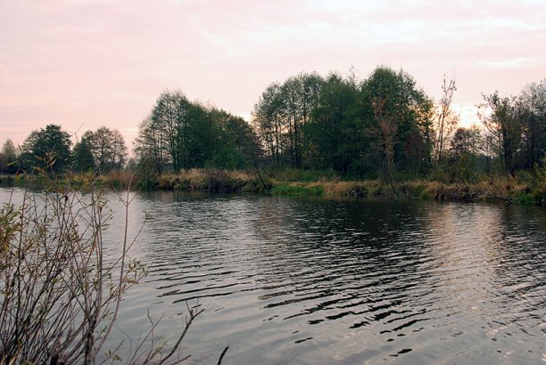 Shrap-Drakers.pl | Shrap Drakers Fishing | Wędkarstwo 