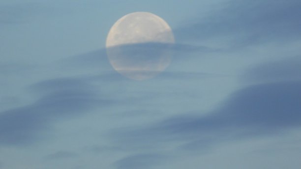 Shrap-Drakers.pl | Shrap Drakers Fishing | Wędkarstwo 