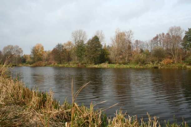 Shrap-Drakers.pl | Shrap Drakers Fishing | Wędkarstwo 