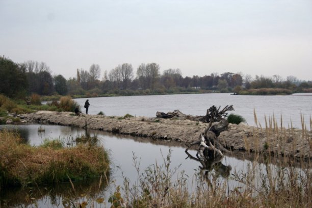 Shrap-Drakers.pl | Shrap Drakers Fishing | Wędkarstwo 