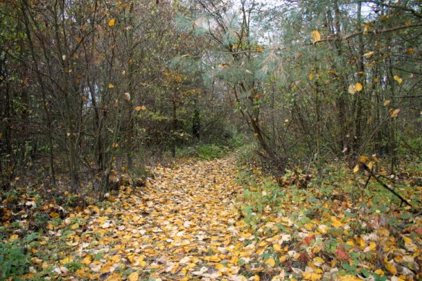 Shrap-Drakers.pl | Shrap Drakers Fishing | Wędkarstwo 