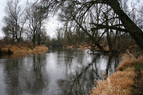 Shrap-Drakers.pl | Shrap Drakers Fishing | Wędkarstwo 