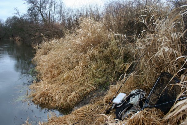 Shrap-Drakers.pl | Shrap Drakers Fishing | Wędkarstwo 