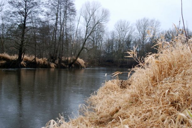 Shrap-Drakers.pl | Shrap Drakers Fishing | Wędkarstwo 