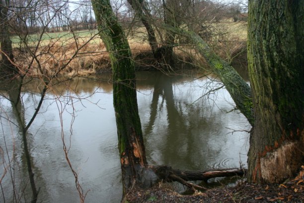 Shrap-Drakers.pl | Shrap Drakers Fishing | Wędkarstwo 