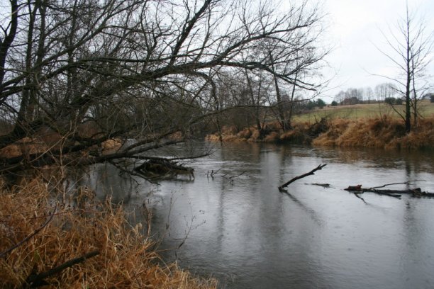 Shrap-Drakers.pl | Shrap Drakers Fishing | Wędkarstwo 