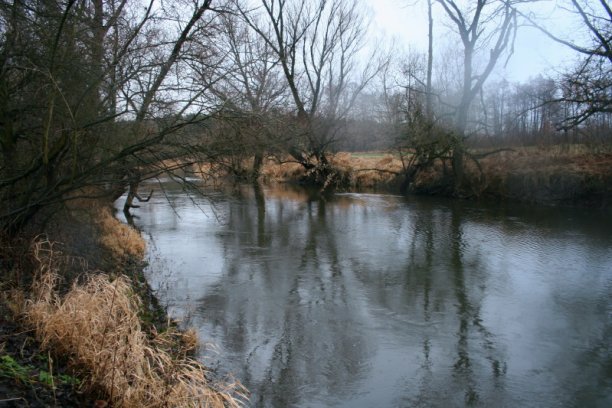 Shrap-Drakers.pl | Shrap Drakers Fishing | Wędkarstwo 